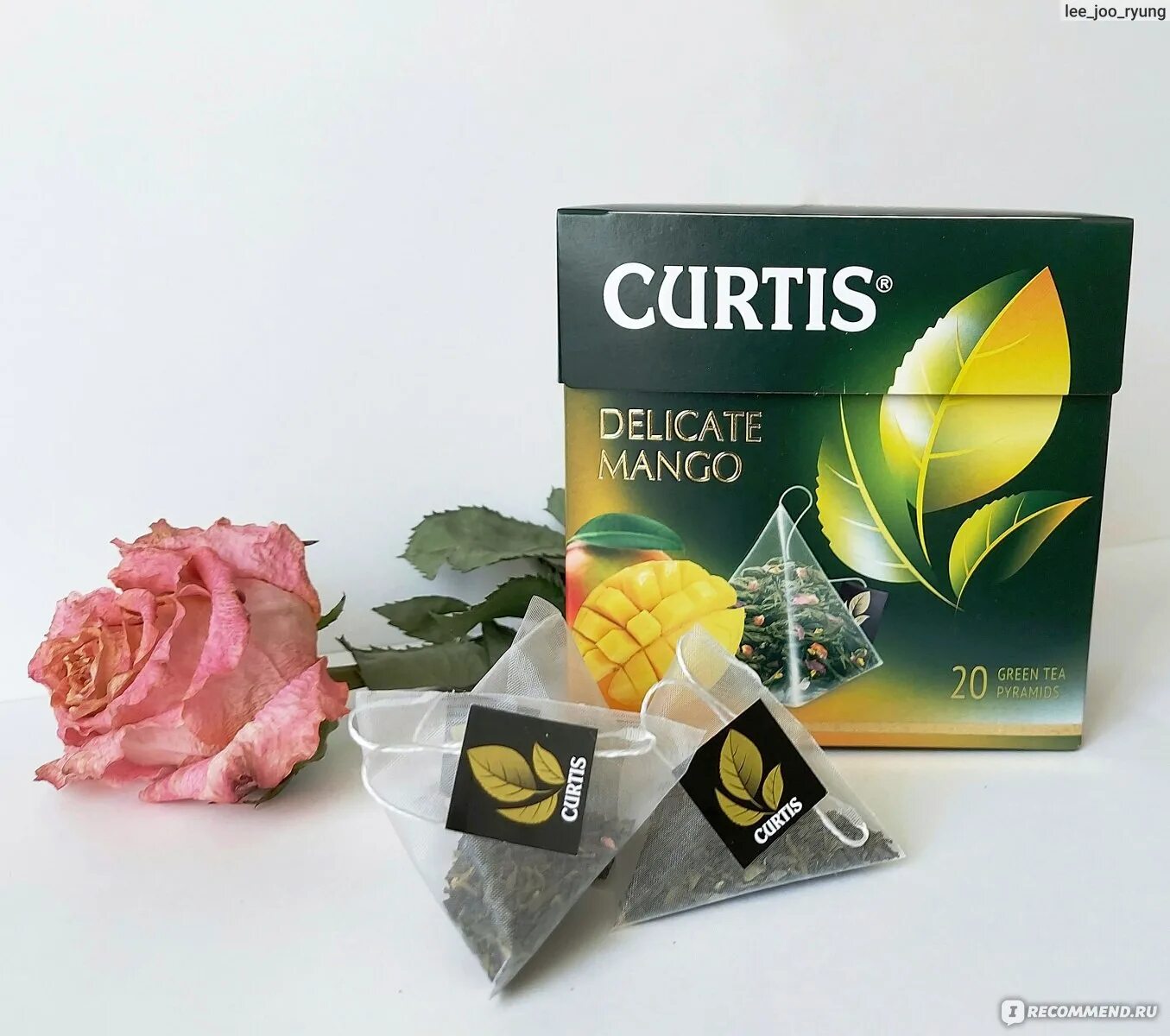Чай зеленый с манго curtis. Чай кертис зеленый с манго. Чай со вкусом манго. Чай curtis mango 20п. Чай со вкусом манго.