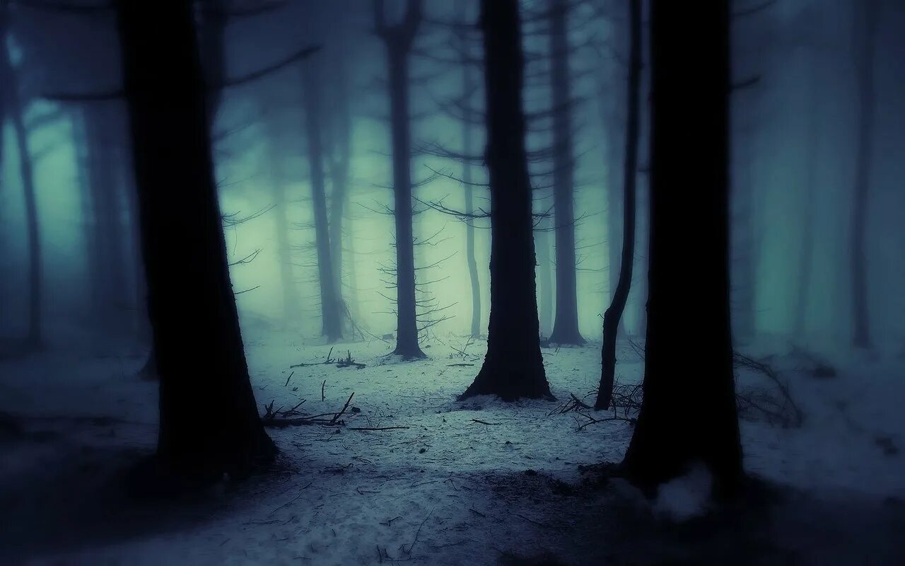 Ужасный фон. Темный лес гача. Страшный лес. Мрачный фон. Мрачный лес.
