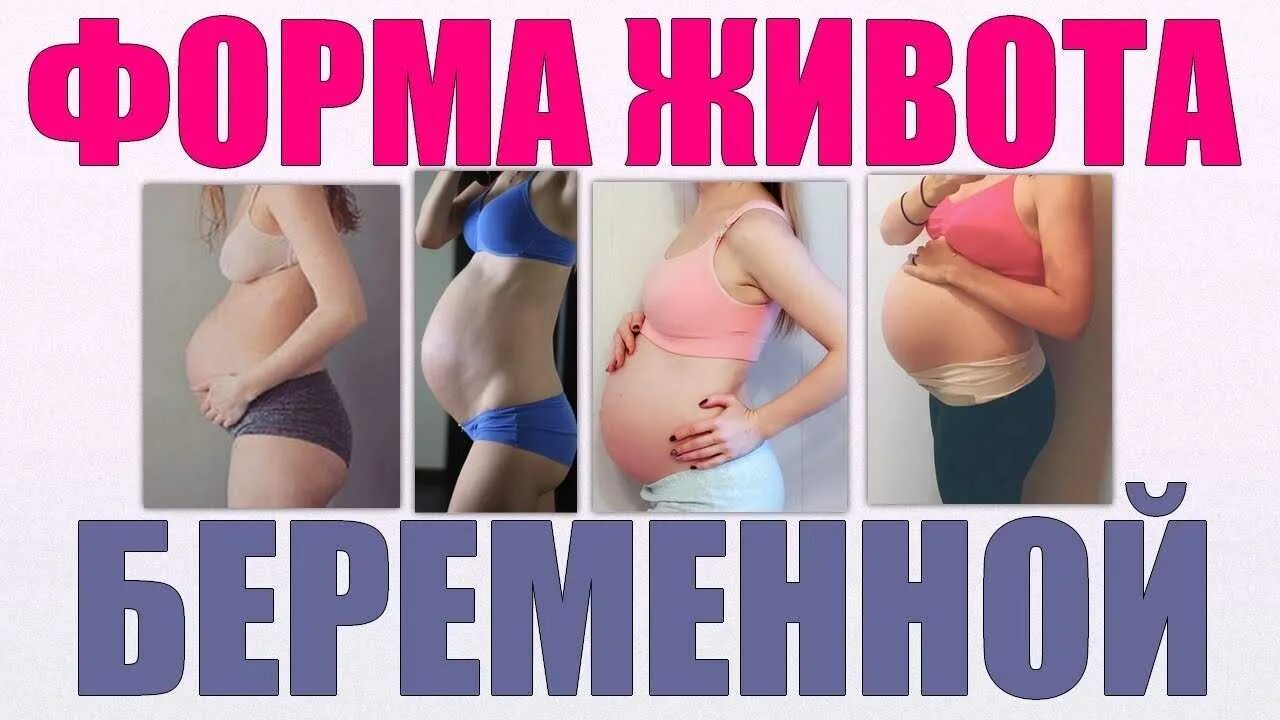 Как по животу понять мальчик или девочка