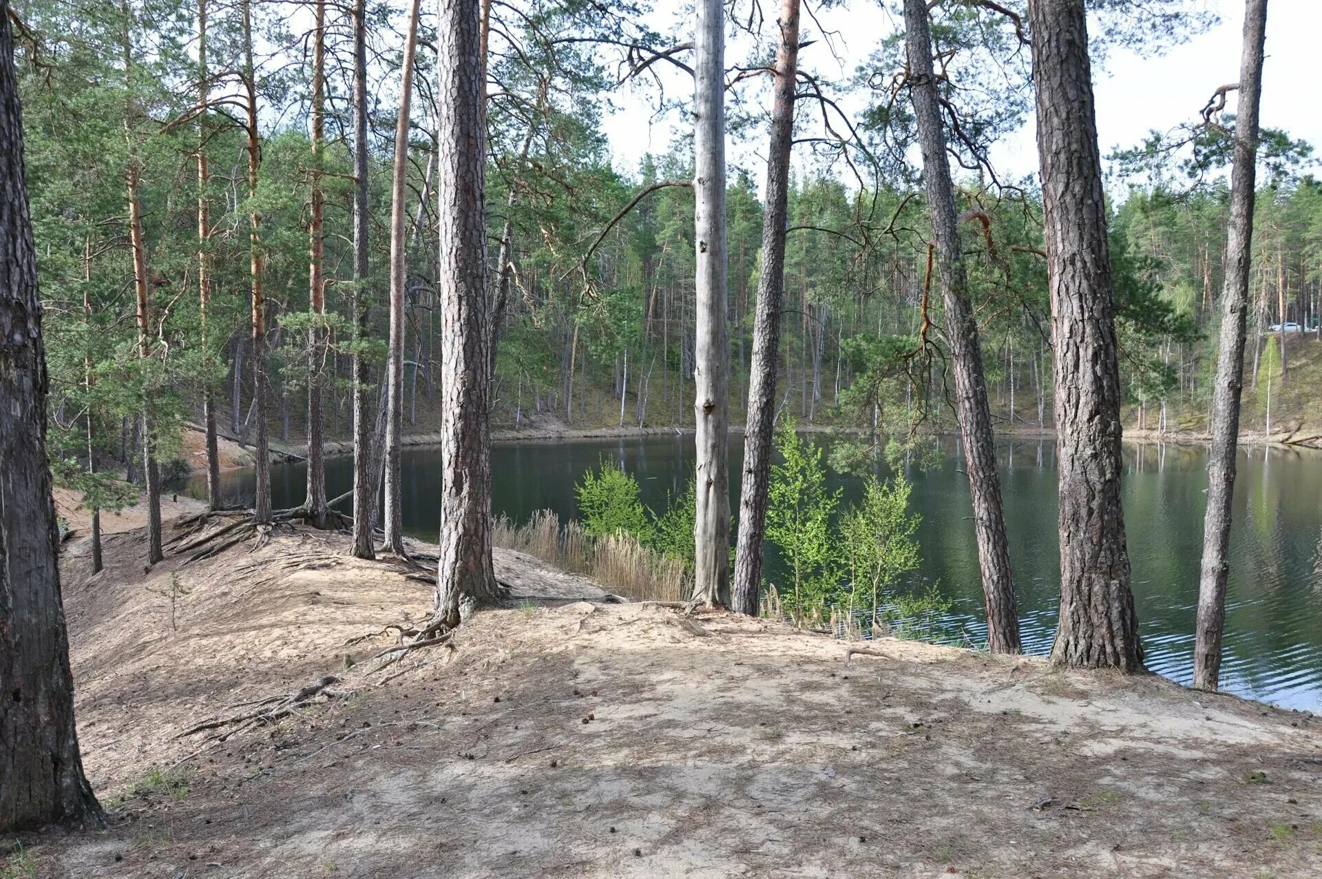 Озеро зеркальное ленинградская область фото. Озеро зеркальное ленинградская область на карте. Погода в зеркальном выборгского. Погода в зеркальном выборгского. Озеро зеркальное нижний новгород автозавод.