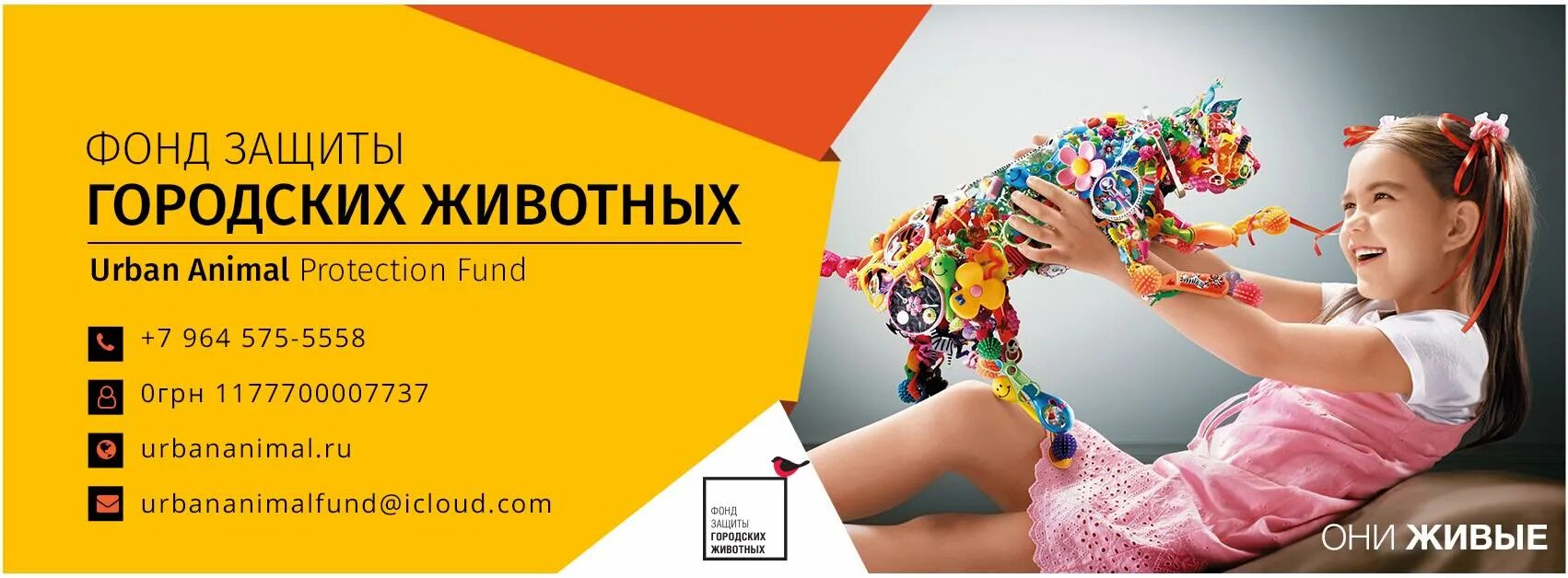 Фонд защита. Фонд городские животные. Фонд защиты городских животных. Фонд городские животные. Фонд городские животные.