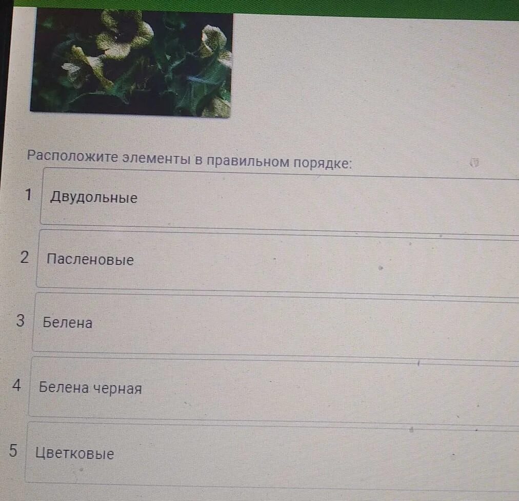 Установите правильную последовательность систематических групп растений. Последовательность систематических групп растений. установите последовательность систематических групп растений. порядок систематических групп растений начиная с наибольшей. систематические группы растений начиная с наибольшей.