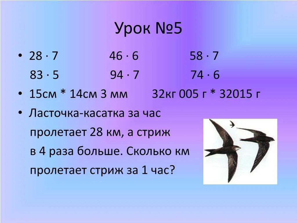 Ласточка Касатка в России. Математика Ласточка (-5;4). Скорость полета ласточки и стрижа. Стриж скорость полета.