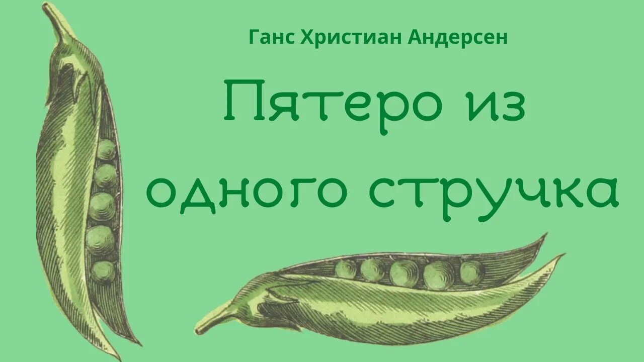 Сказка андерсена 5 горошин из одного стручка. Пословица к сказке пятеро из одного стручка. Пословица к сказке пятеро из одного стручка. Научно познавательный рассказ пятеро из одного стручка. Научно познавательный рассказ пятеро из одного стручка.