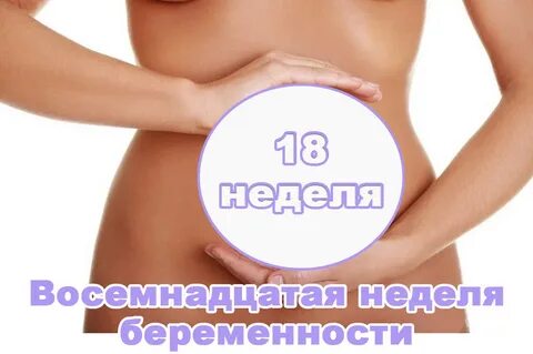 Сколько недель до 20 декабря