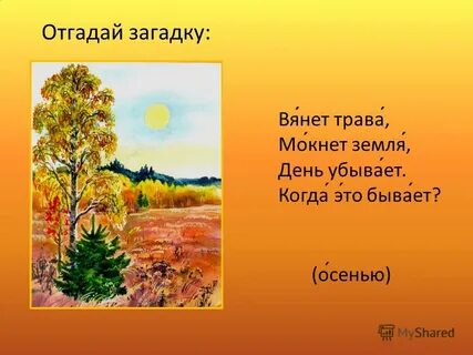 На лугах завяли травы с деревьев опадают