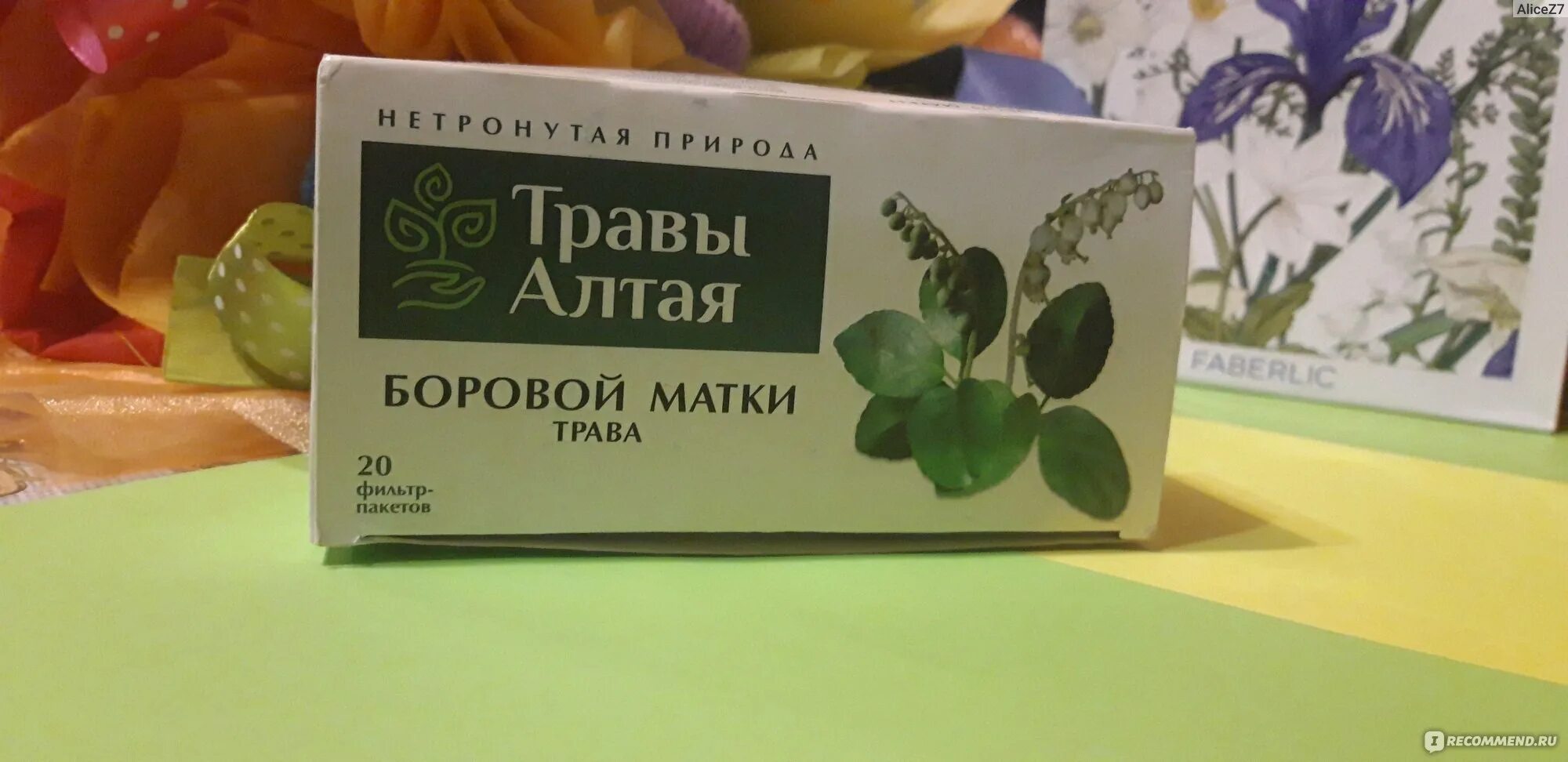 Боровая матка при месячных. Боровая матка при воспалении яичников. боровая матка алтай. свечи боровая матка. борова матка при безплідді - безпечне і ефективне травотерапія!.