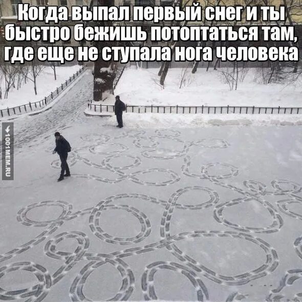 Выполнили выпал. Выпад первуц снег прикол. снег выпал, прикол.. первый снег мем. с первым снегом приколы.
