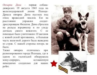 Отрывок собака