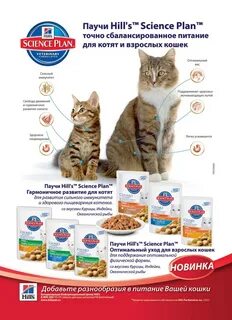 Программа корм для кота