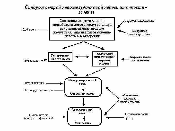 Сердечная астма алгоритм. Механизм развития отека легких при левожелудочковой недостаточности. сердечная астма патогенез. левожелудочковая недостаточность патогенез. механизм развития сердечной астмы.