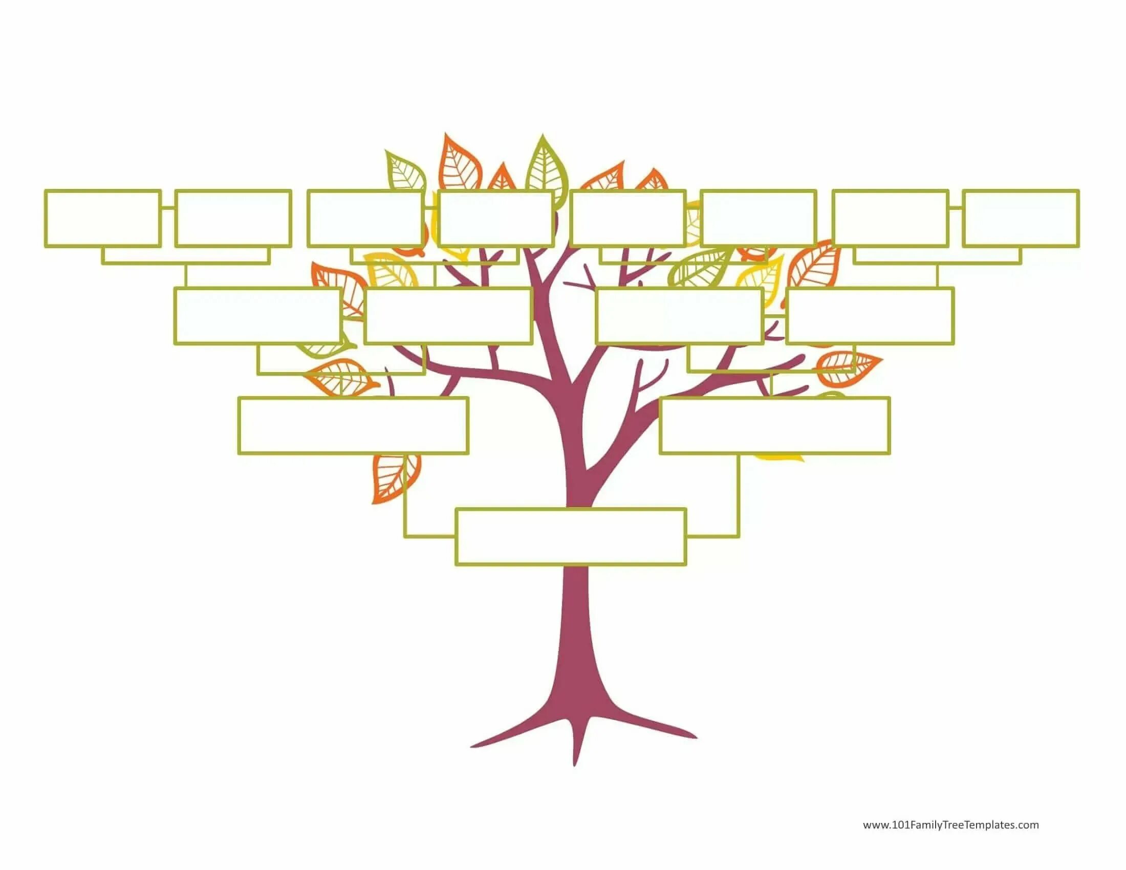 Родословная генетическая дерево. Генеалогическое Древо Family Tree. Родословная из 3 поколений. Шежере родословная. Древо семьи 2 класс шаблон