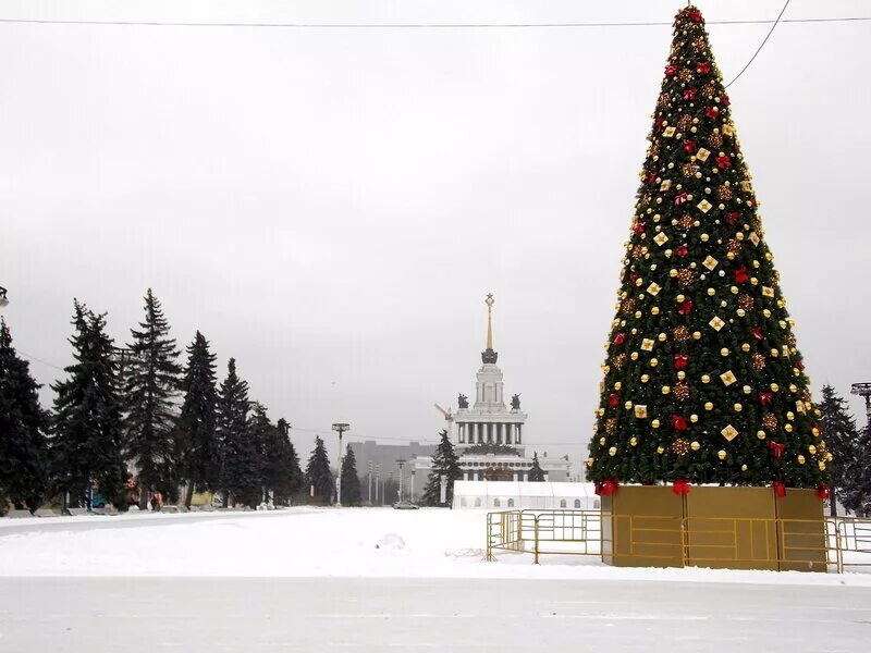 елка на вднх. космическая елка. смоленская елка на вднх. смоленская елка на вднх. парк вднх 2021.