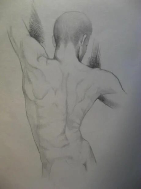 Рисунок мужской спины. Спина сзади референс. Спина карандашом. Рисунок мужской спины. Эстетика мужского тела карандашом.