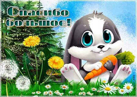 Ок спасибо