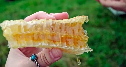 Медовые соты можно есть