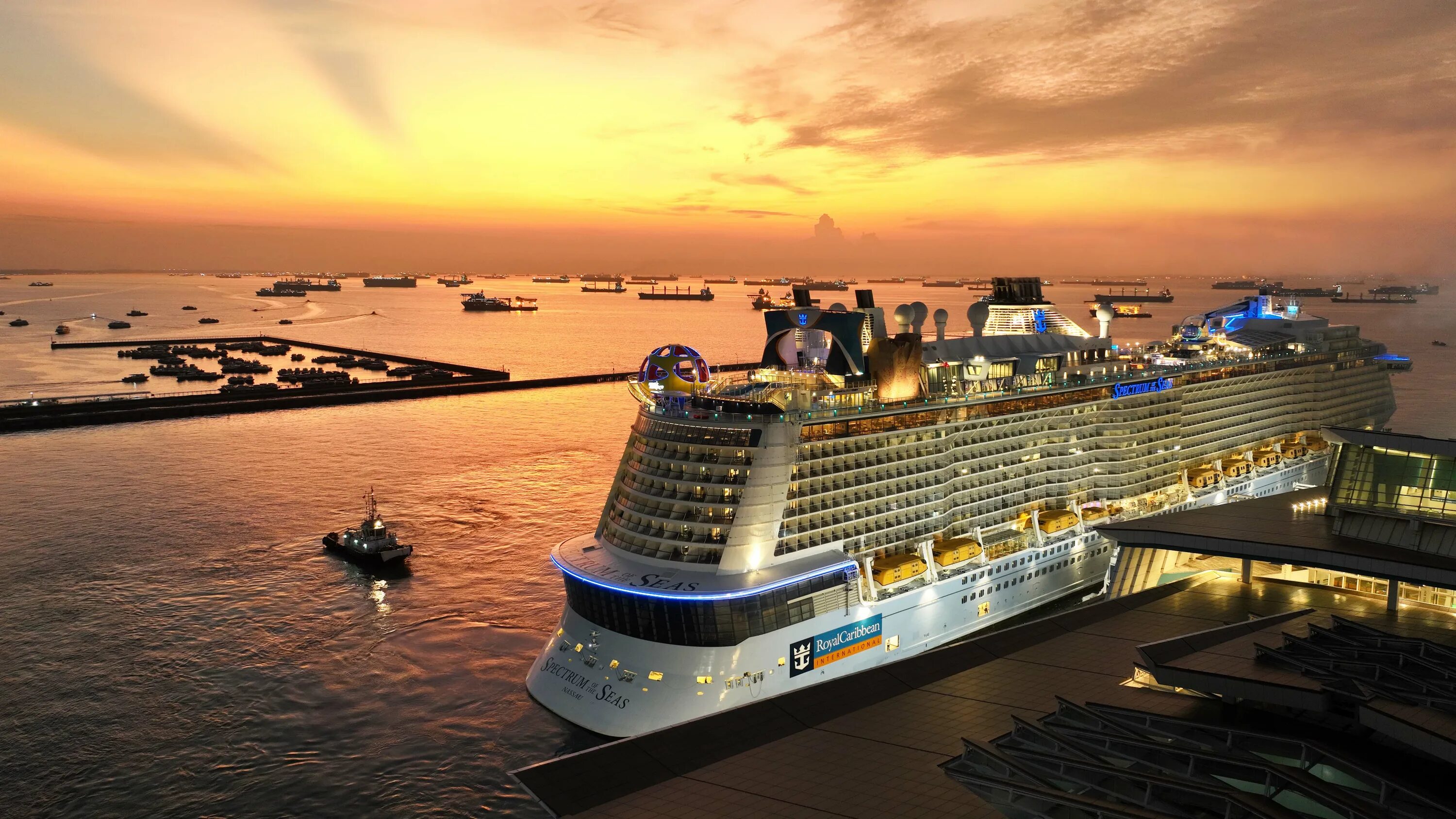 Seas royal. Spectrum of the seas лайнер. royal caribbean spectrum of the seas. лайнер: spectrum of the seas - royal caribbean international. роял карибиан лайнер 2004.