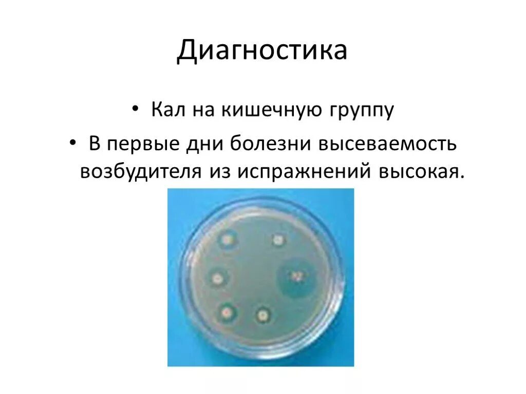 Бактериологическое исследование кала на дизентерийную группу. Посев на кишечную инфекцию. Посев кала на возбудителей кишечной инфекции. Анализ кала на кишечную группу. Кал на поверхности воды