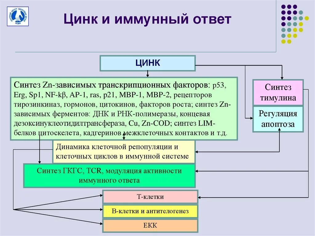 Иммунной цинк