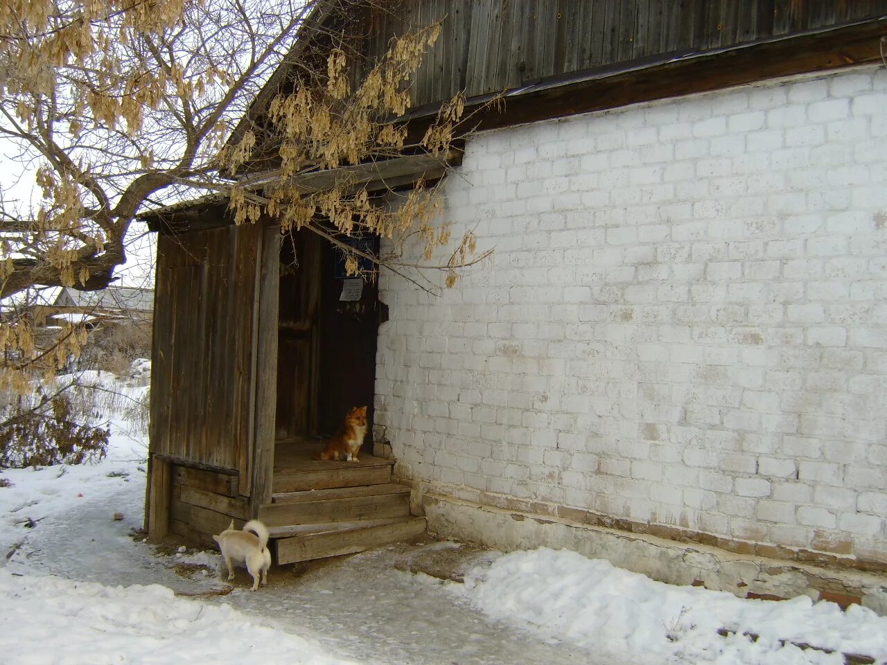 Погода рассыпное оренбургская область. Погода рассыпное оренбургская область. Погода рассыпное оренбургская область. Погода рассыпное оренбургская область. Погода рассыпное оренбургская область.