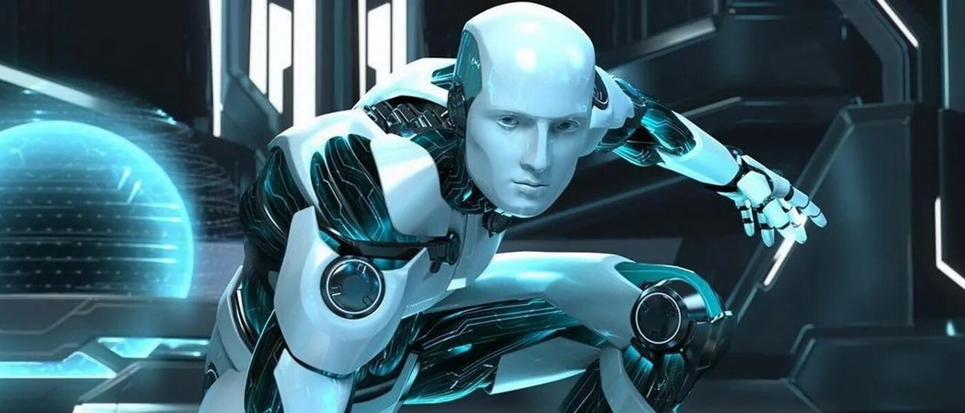 Meta robots