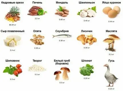 Где больше всего содержится витамина б