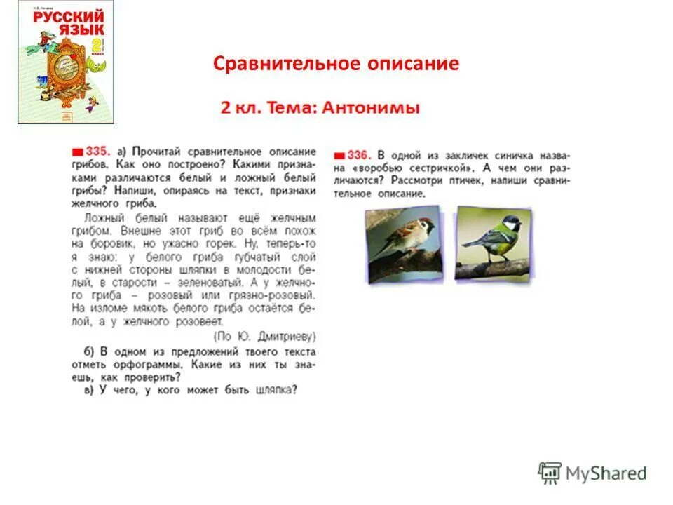 текст-описание 2 класс примеры. текст описание сравнение 4 класс. текст описание сравнение 4 класс. сравниваем тексты. как писать текст описание 3 класс.