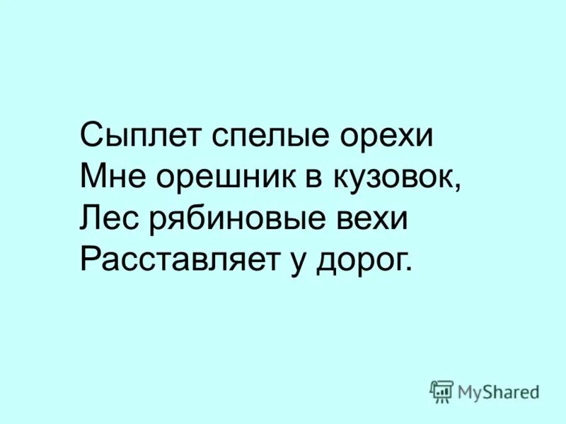 Орешник в подмосковье. Лесной орех лещина. Красивый фундук. Фундук (лещина обыкновенная) исаевский. Лесной орех (hazelnut).