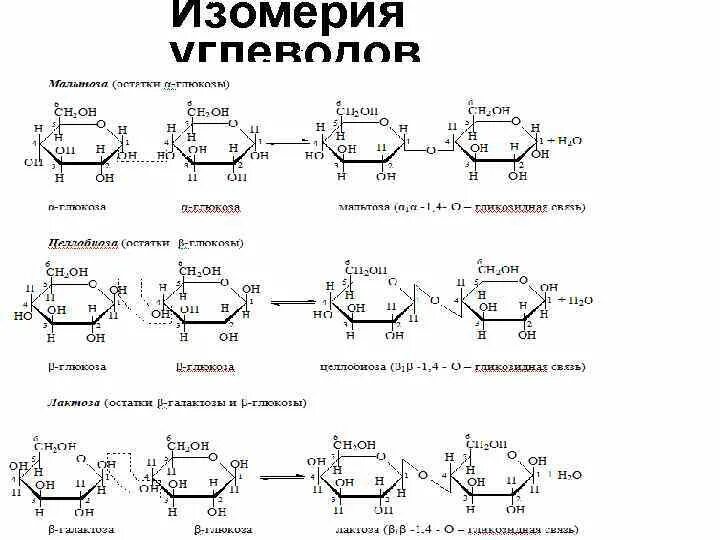 Изомерия и номенклатура углеводов кратко. Углеводы химия изомерия номенклатура. Углеводы классификация номенклатура, изомерия, строение. Номенклатура углеводов классификация углеводов. Изомерия глюкозы