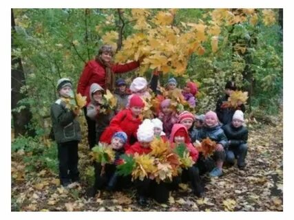 Экскурсии осенью