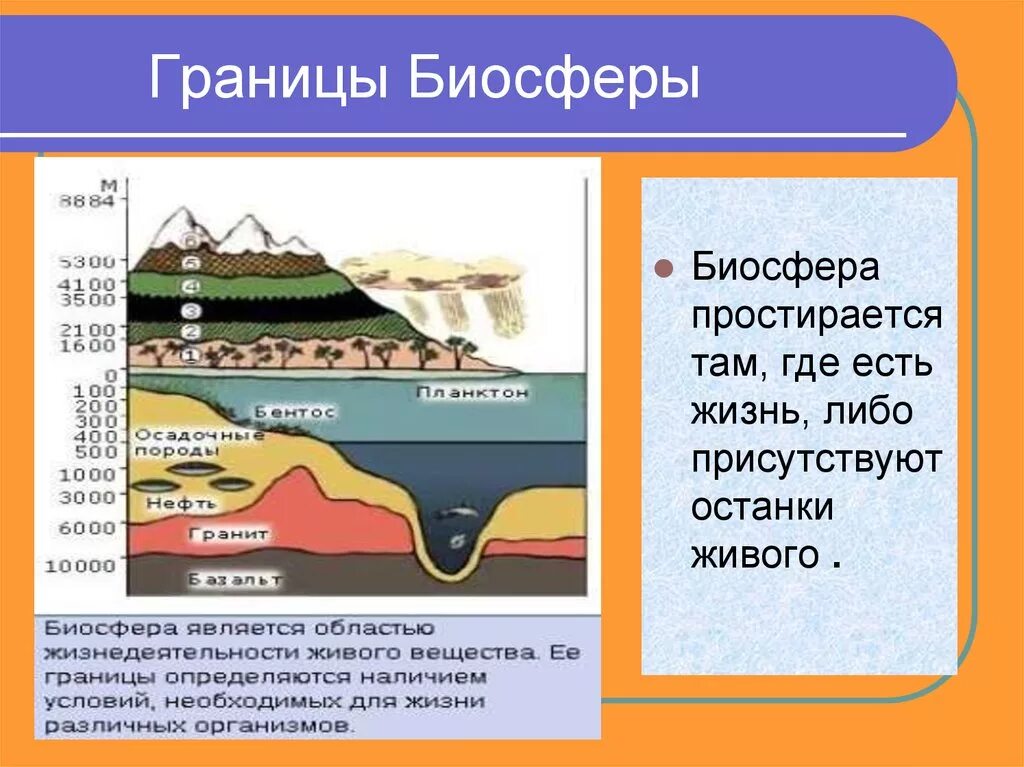 Чем определяются границы распространения живых организмов. Границы биосферы. Биосфера границы биосферы. Границы биосферы в литосфере. Границы биосферы схема.