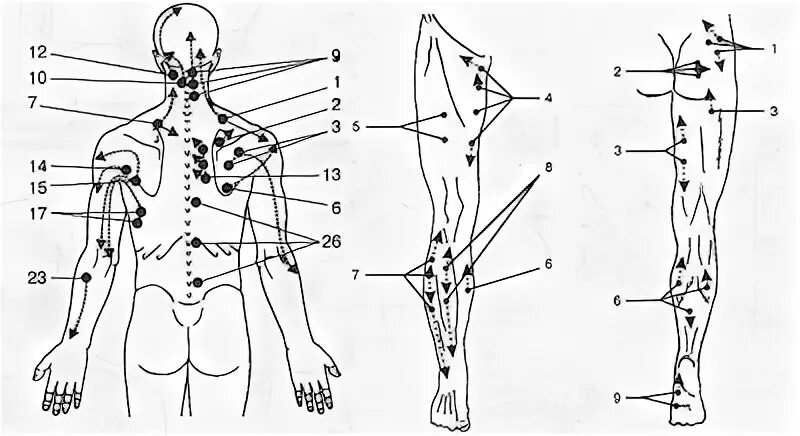 Схема триггерных точек на теле человека. Триггерные точки на спине схема. Триггерные точки на теле карта. Лимфоузлы на пояснице