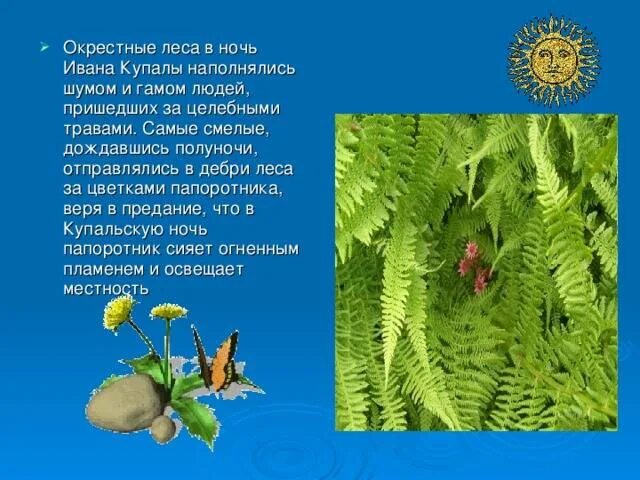 Цветок папоротника легенда. Цветок папоротника легенда. Миф о папоротнике. Цветок папоротника легенда. Легенда о папоротнике.