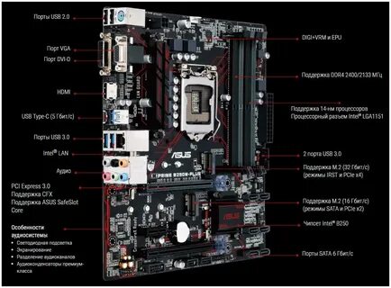 Материнская плата asus b250m plus