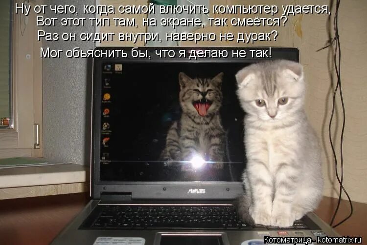 а если вьебать и переспросить. картинка тише тише. тише будь мем. будь тише милый.