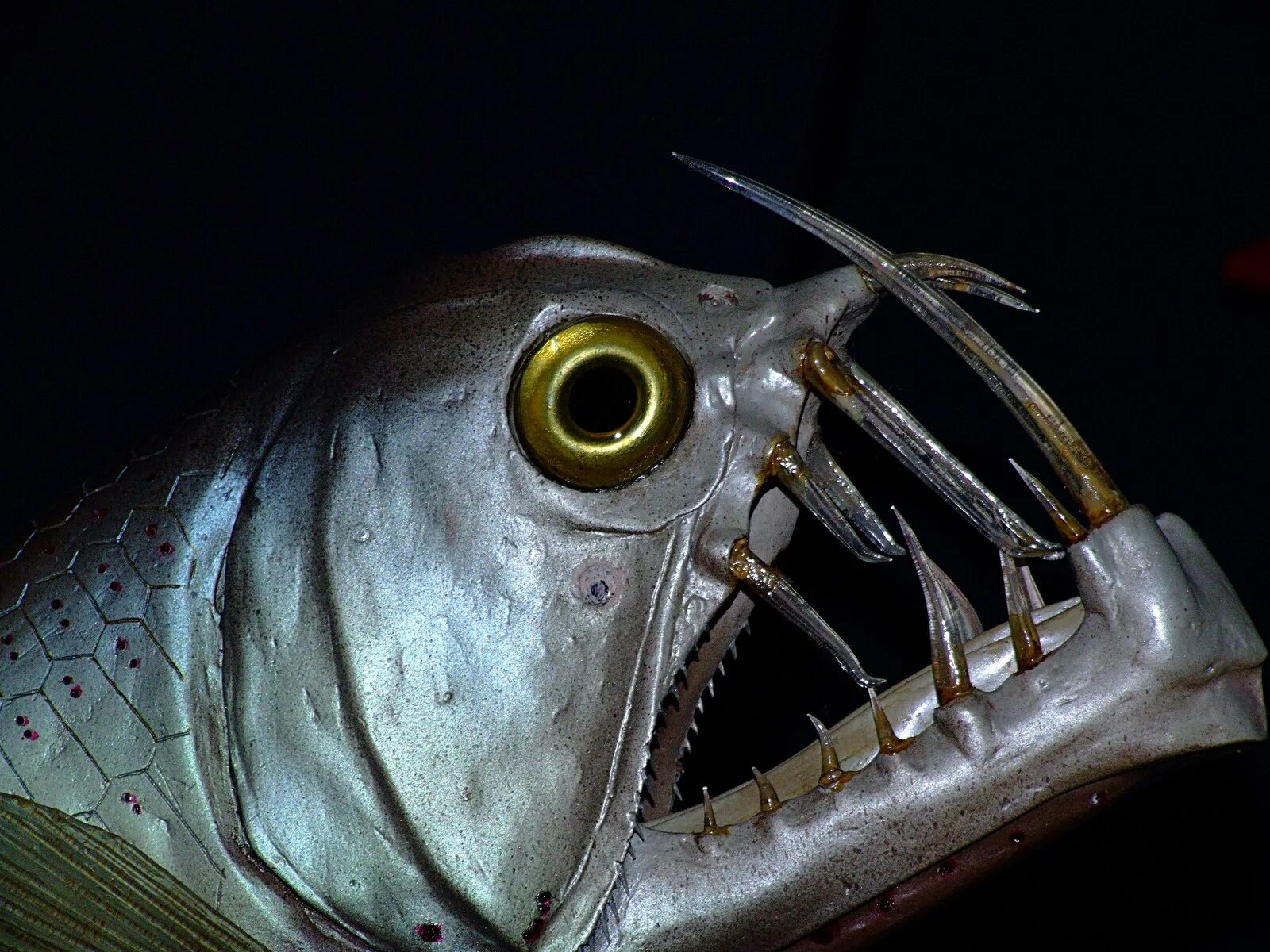Рыба удильщик Марианская впадина. Тихоокеанский хаулиод. Рыбы хищники.