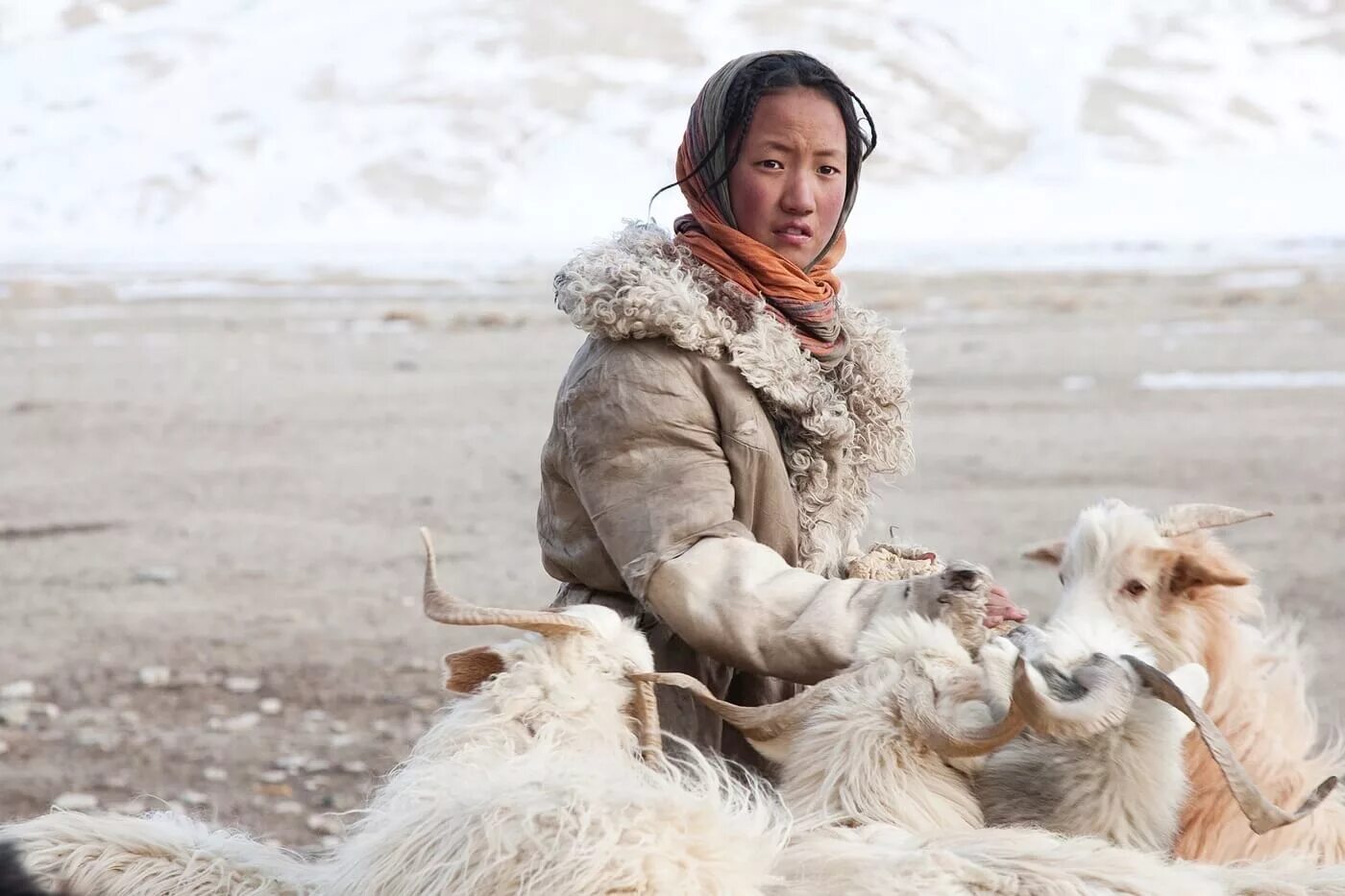 Монгол скотовод 4 буквы. Тибет кочевники. Ньима Тибет. Жители горного Тибета. Жизнь в Тибете.