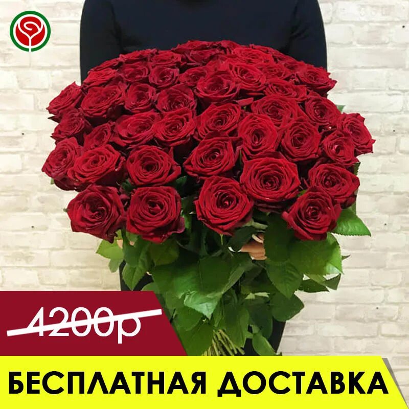 Розы 35 рублей. Розы по 70 рублей. Розы Волгоград.