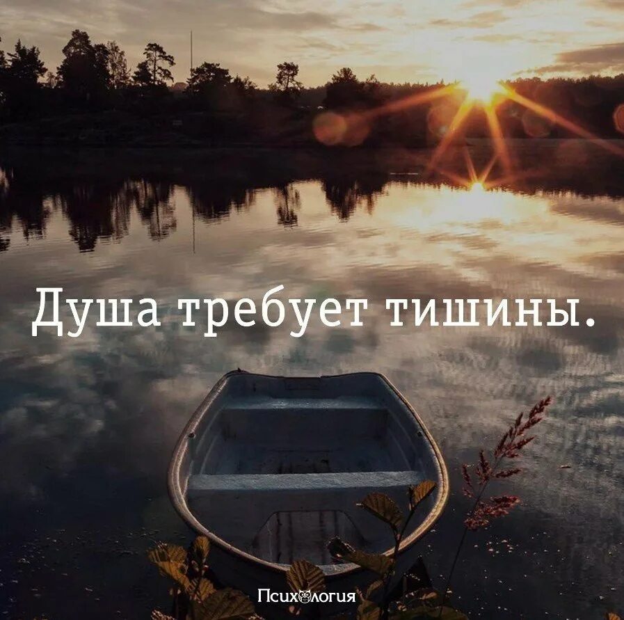Мы пригласили тишину. Хочется тишины и покоя. хочется тишины и спокойствия. статус про тишину и спокойствие. иногда хочется тишины и спокойствия.