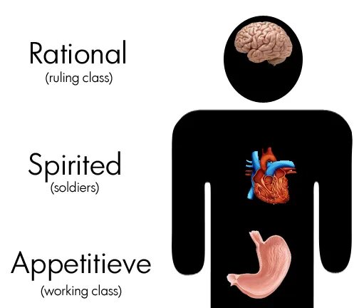 Душа копи. Plato Операционная система. Plato's image of Soul. Plato's interpretation of Soul. The three beginnings of the Human Soul Plato.