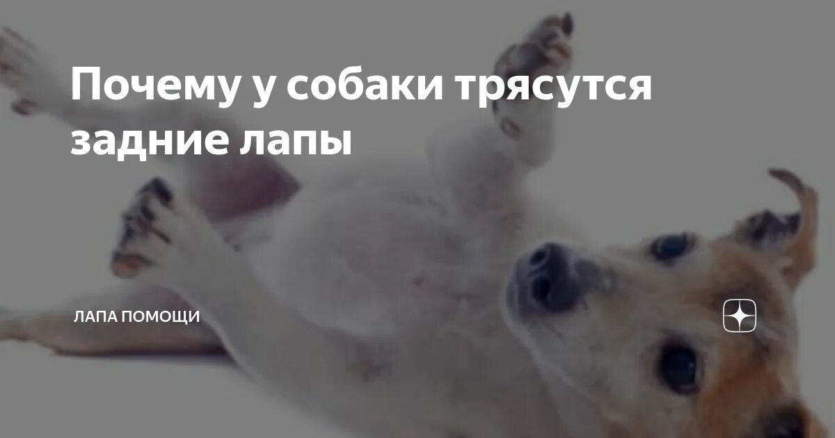 Почему трясет после