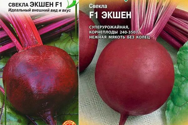 Свекла сорт гранатовый сок. Сорт свеклы экшен. Свекла экшен f1. Свекла экшен f1. Свекла столовая экшен f1.