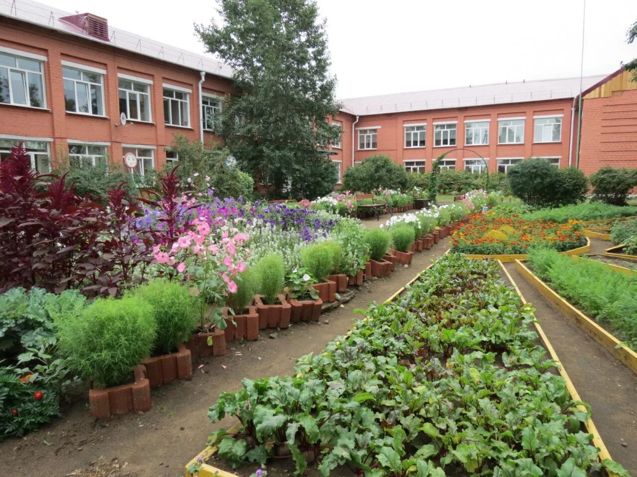 огород на пришкольном участке. пришкольный огород. школьный участок. учебно-опытный участок. дети на пришкольном участке.