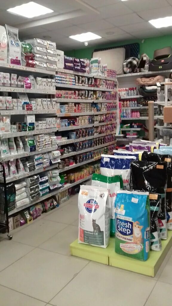 Г. Зоомагазин сити молл. Зоомагазин пермь с животными. Мир хвостатых екатеринбург. Зоомагазин пермь с животными.