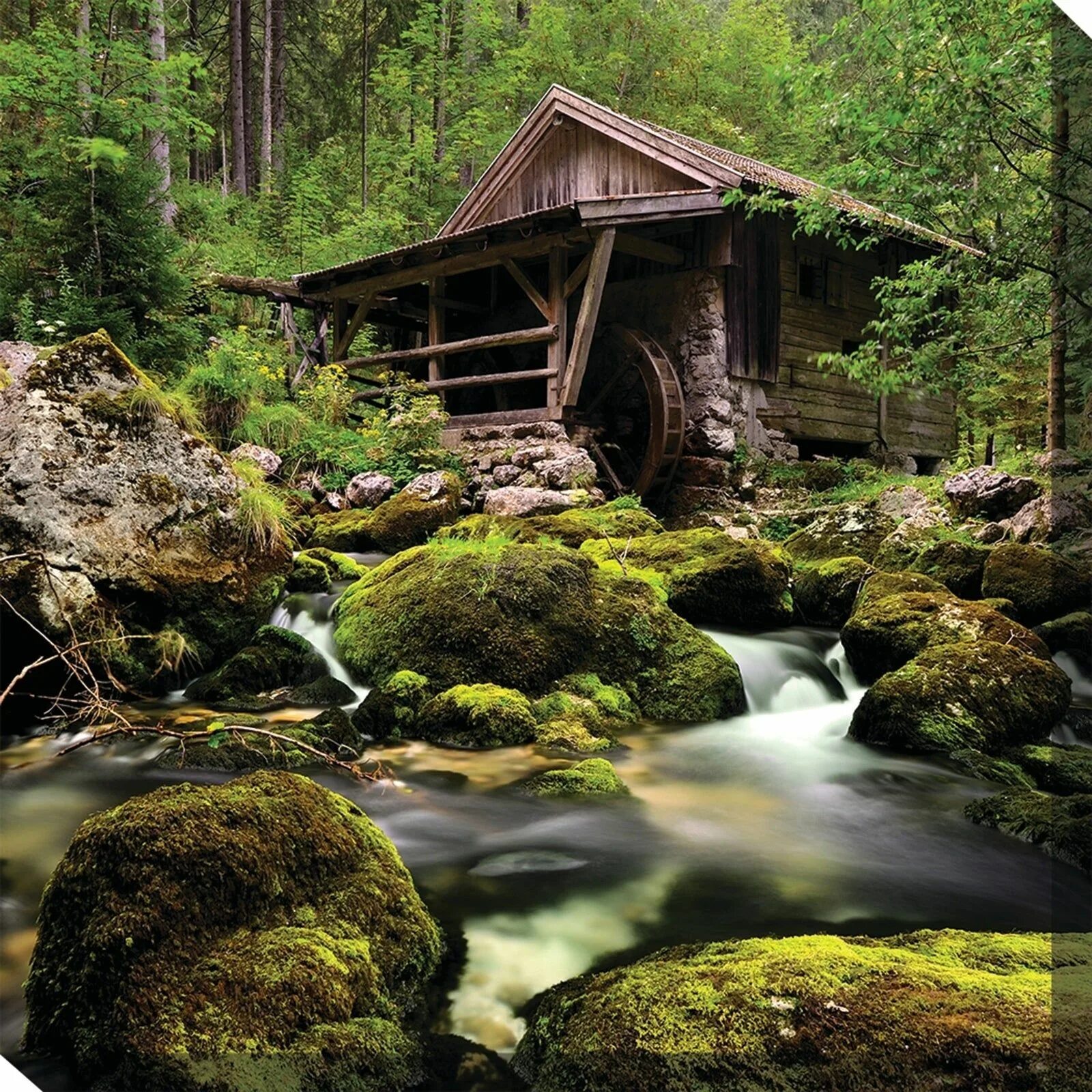 Forest Cottage жилетки. Nature Fairytale. The Art of Outdoor Living.