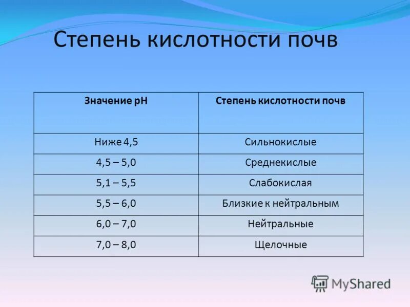 Рн солевой почвы. Рн солевой почвы
