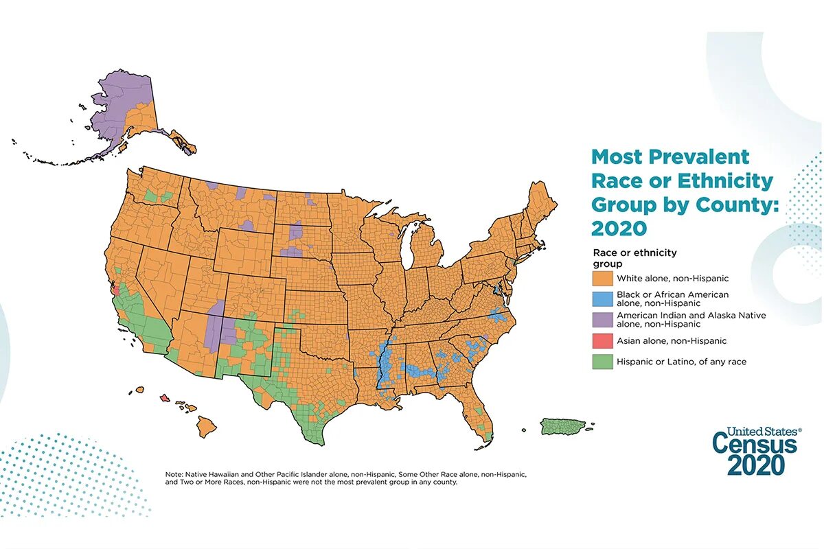 Us Census 2020. Белое население США. USA population. Biggest Cities in the us.