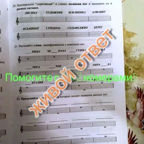 Правописание слов с разделительным твердым знаком слова. Правописание безударных гласных в корне проверяемых ударением. Слова с безударной гласной с проверочными словами 2 класс. Подчеркнут двадцать. Подчеркнут двадцать.