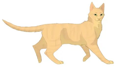 Буря коты воители