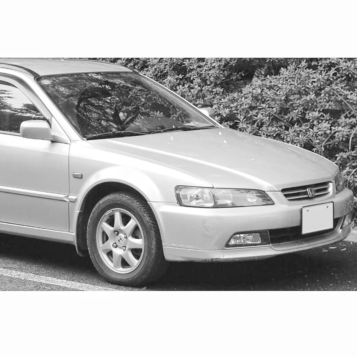 Honda 97. Honda Accord 97. Хонда Аккорд 97г. Honda Accord 97-00. Аккорд 6 поколение разница передних крыльев и бампера.